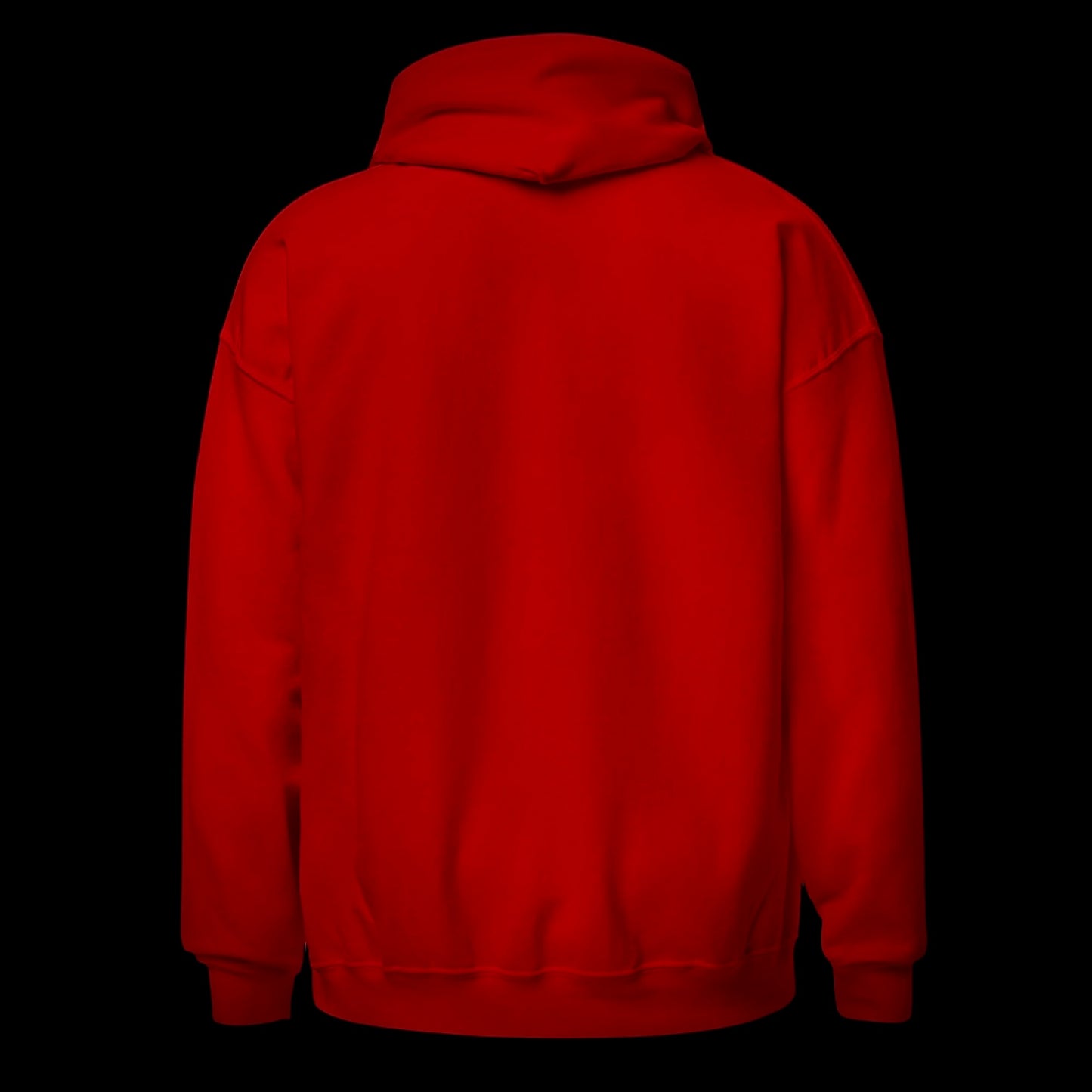 🚀 THE ROCKET PROJECT - Premium Hoodie
