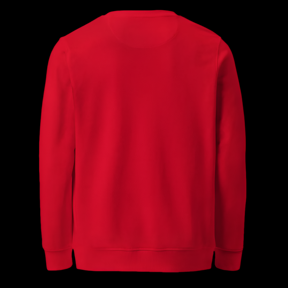 ROCKET - Embroidered Premium Jumper