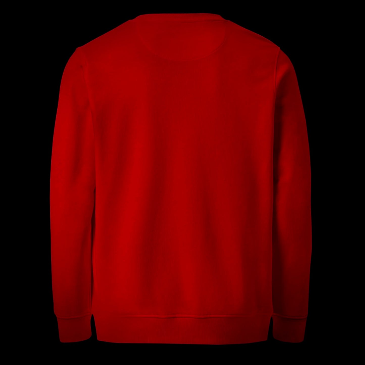 🚀 THE ROCKET PROJECT - Premium Embroidered Jumper